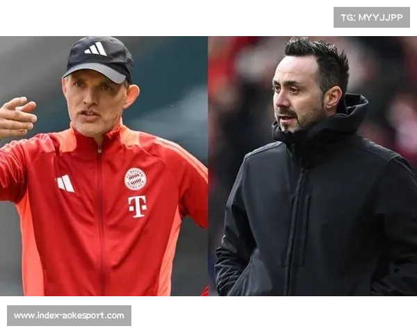 卡里克转正前景未定，图赫尔与德泽尔比成候选